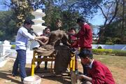 Jawahar Navodaya Vidyalaya-Activity
